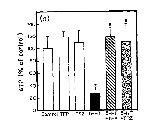 Bar chart of brain ATP as percent of control after serotonin, with and without calmodulin antagonists
