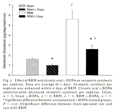 Figure: L-DOPA raises dopamine and lowers serotonin excretion