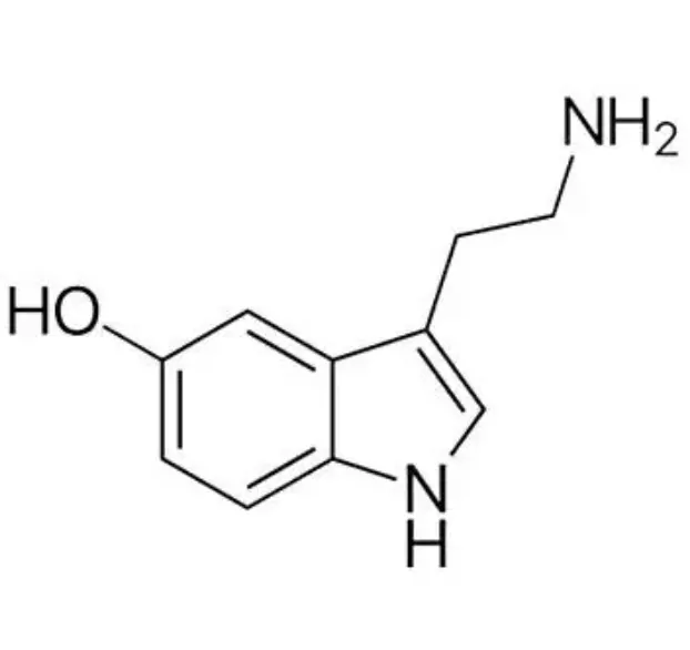 The chemical structure of serotonin, 5-hydroxytryptamine