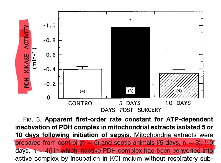PDH kinase activity doubles during sepsis