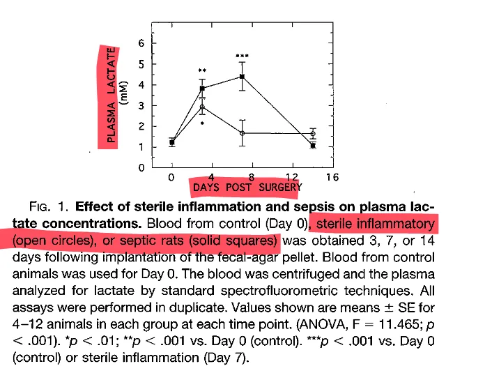 Plasma lactate stays high during sepsis