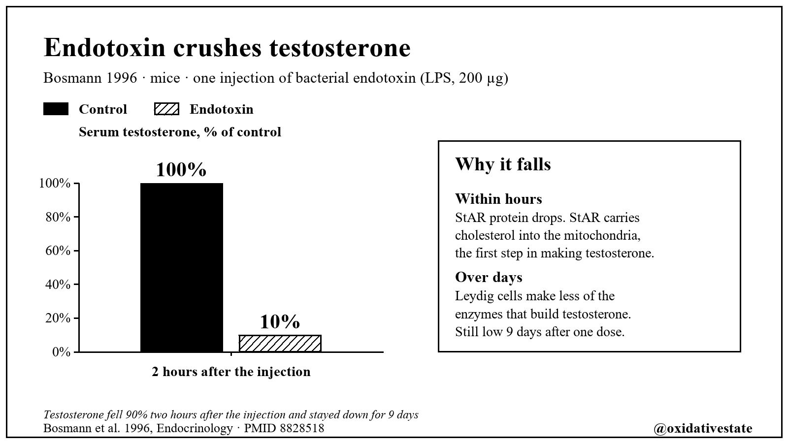 Bar chart: serum testosterone at 100% in controls and 10% two hours after endotoxin, Bosmann 1996